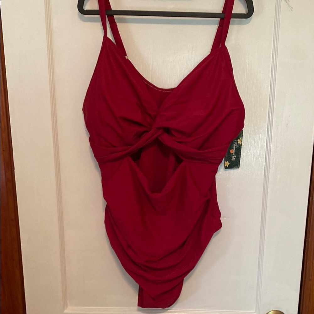 Burgundy Swim Chemise with Elegant Slip Design in Plus size